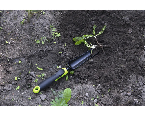 Tuingereedschap en plant in tuingrond