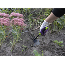 Een persoon werkt met een tuinfrees in een bloembed met hemelsleutel.