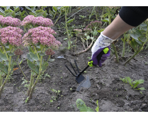Een persoon werkt met een tuinfrees in een bloembed met hemelsleutel.