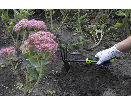 Hand met tuinhandschoen gebruikt een schoffel tussen planten in een tuinbed