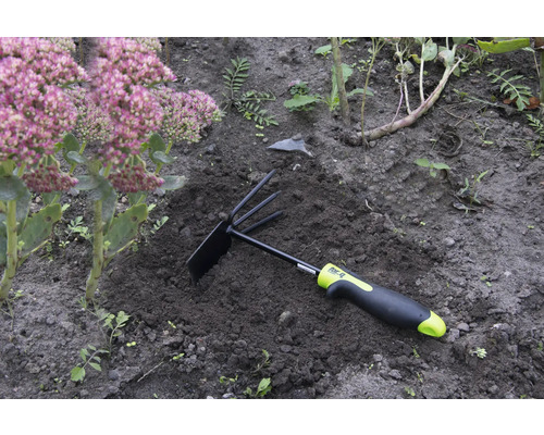 Tuingereedschap met hark en hak in de tuin naast een plant