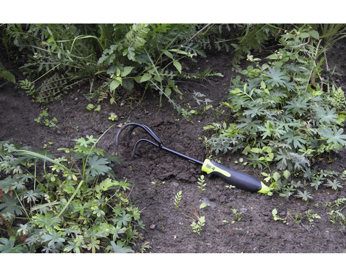 Tuinklauw in de bloembed tussen planten