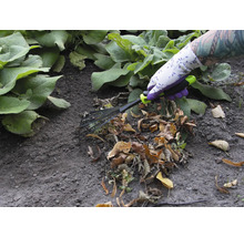 Een persoon met tuinhandschoenen gebruikt een bladhark om bladeren te verwijderen.