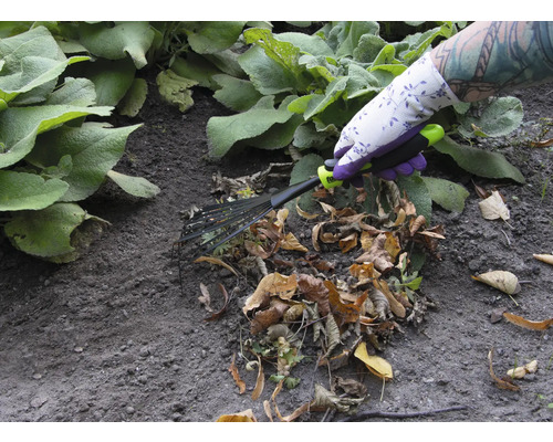 Een persoon met tuinhandschoenen gebruikt een bladhark om bladeren te verwijderen.