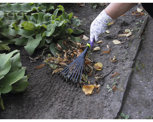 Iemand harkt bladeren met een bladhark in de tuin.