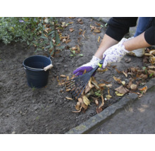 Tuinscene met bladhark, tuinhandschoenen en emmer voor het verzamelen van bladeren