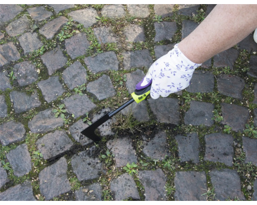 Een persoon verwijdert onkruid met een voegenkrabber van een stenen pad.