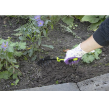 Persoon gebruikt een kleine hark om in de tuin te werken