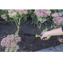 Een hand houdt een hark vast voor tuinwerkzaamheden naast planten.