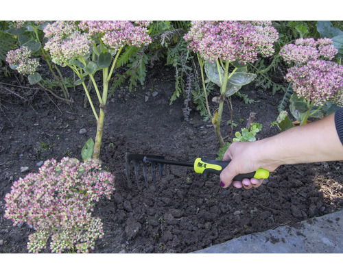 Een hand houdt een hark vast voor tuinwerkzaamheden naast planten.