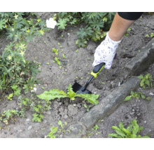 Tuinbeeld met hand, tuinhandschoen en onkruidsteker in gebruik.