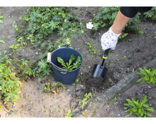 Persoon verwijdert onkruid met een schep uit een tuin, onkruid wordt verzameld in een emmer