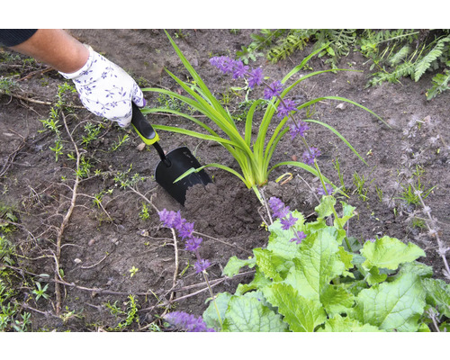 Iemand plant met een handschep een plant in de aarde.