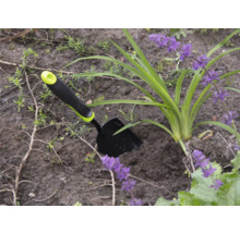 Tuinscène met een kleine tuinschep naast een plant met paarse bloemen.