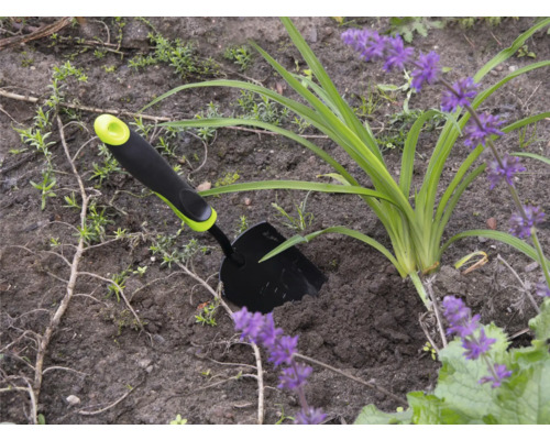 Tuinscène met een kleine tuinschep naast een plant met paarse bloemen.
