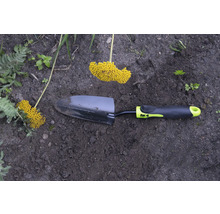 Tuinschep met gele bloeiwijze in de tuin