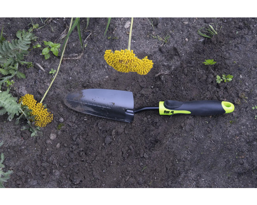 Tuinschep met gele bloeiwijze in de tuin
