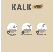 Instructie voor het gebruik van tuinkalk met de stappen: strooi de korrels gelijkmatig, hark het vervolgens aan en geef voldoende water.