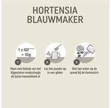 Instructies voor het gebruik van hortensiablauwmaker