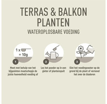 Instructies voor het gebruik van wateroplosbare plantenvoeding voor terras en balkon.