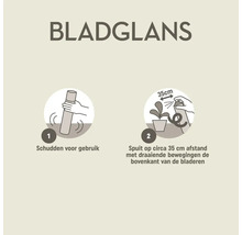 Gebruiksaanwijzing voor bladglans: Schudden voor gebruik en spuit op circa 35 centimeter afstand op de bovenkant van de bladeren.