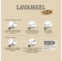 Instructies voor het gebruik van lavameel om de grond te bewerken en planten te bestuiven