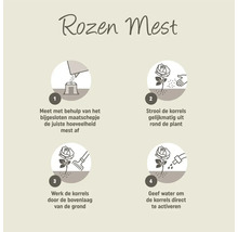 Instructies voor het gebruik van rozenmest in vier stappen