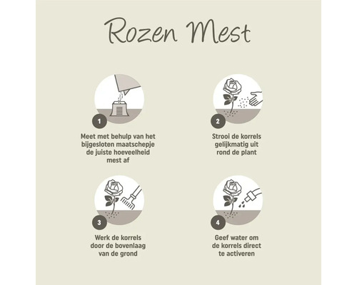 Instructies voor het gebruik van rozenmest in vier stappen