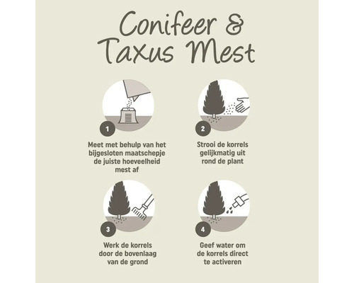 Instructies voor het aanbrengen van coniferen- en taxusmest in vier stappen