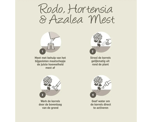 Instructies voor het gebruik van mest voor rhododendrons, hortensia's en azalea's