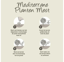 Instructies voor het gebruik van mediterrane plantenvoeding in vier stappen