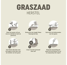 Stap voor stap instructies voor graszaad herstel: onkruid verwijderen, gazongrond aanbrengen, zaaien, aanrollen en besproeien.