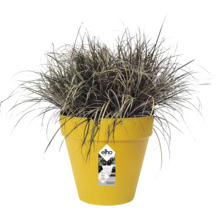 Gele elho kunststof bloempot met donker siergras, bewateringssysteem en gerecyclede materialen.