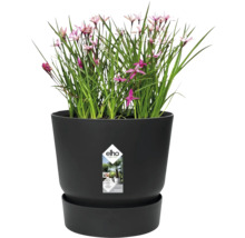 elho bloempot met plant en schotel, geïntegreerd bewateringssysteem, gemaakt van gerecyclede materialen.