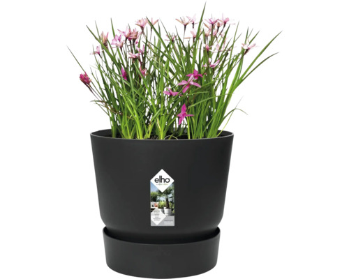 elho bloempot met plant en schotel, geïntegreerd bewateringssysteem, gemaakt van gerecyclede materialen.