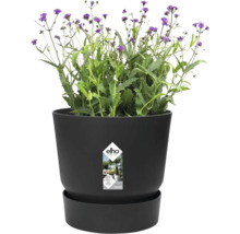 Ronde kunststof bloempot met geïntegreerde schotel en groene plant met paarse bloemen, Elho Logo.