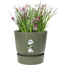 Groene Elho bloempot met schotel, bewateringssysteem, van gerecycled materiaal, met groene plant en roze bloemen. Elho Logo.