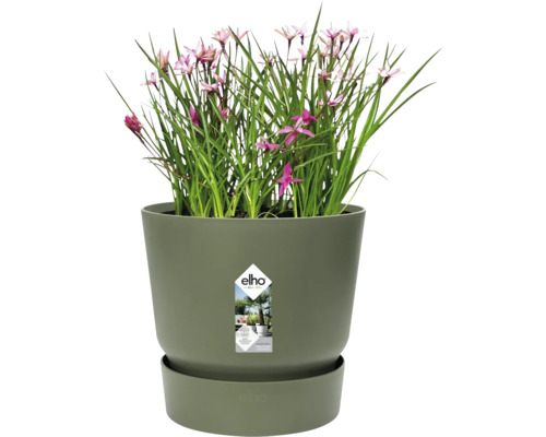 Groene Elho bloempot met schotel, bewateringssysteem, van gerecycled materiaal, met groene plant en roze bloemen. Elho Logo.