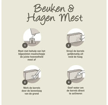 Stapsgewijze instructie voor het bemesten van beuken en hagen: afmeten met maatschepje, korrels uitstrooien, in de grond werken en water geven.