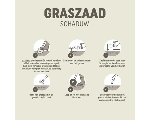 Infographic voor het inzaaien van schaduwgraszaad in zes stappen: grond voorbereiden, randen zaaien, kruislings zaaien, inharken, aandrukken en sproeien.