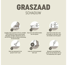 Infographic voor het inzaaien van schaduwgraszaad in zes stappen: grond voorbereiden, randen zaaien, kruislings zaaien, inharken, aandrukken en sproeien.