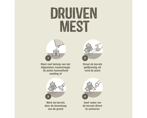 Instructies voor druivenmest in vier stappen: afmeten met maatschepje, strooien rond de plant, inwerken in de grond en bewateren.