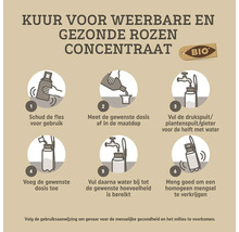 Infographic voor rozenconcentraat in zes geïllustreerde stappen: schudden, doseren, water vullen, toevoegen, bijvullen en mengen. Biologisch keurmerk.