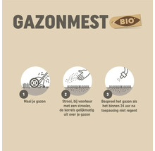 Infografiek voor bio gazonmest: 1. Gazon maaien, 2. Meststof gelijkmatig verspreiden, 3. Gazon besproeien als het niet regent binnen 24 uur.