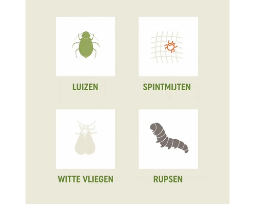 Werking tegen luizen, spintmijten, witte vliegen en rupsen.