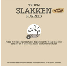 Instructie voor het aanbrengen van biologische slakkenkorrels. Stap 1 toont het gelijkmatig verdelen van de korrels tussen planten.