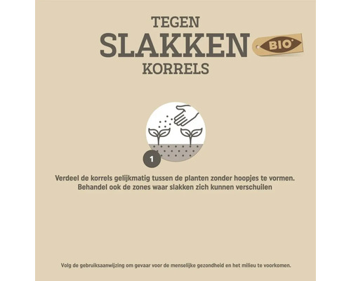 Instructie voor het aanbrengen van biologische slakkenkorrels. Stap 1 toont het gelijkmatig verdelen van de korrels tussen planten.