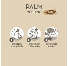 Gebruiksaanwijzing voor biologische palmvoeding: schudden voor gebruik, een kwart dop per een liter water, eenmaal per week voeden.