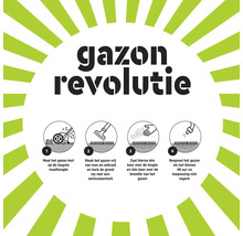 Infographic Gazon Revolutie met 4 stappen voor gazononderhoud: maaien op de laagste stand, verticuteren, graszaad zaaien en het gazon besproeien.
