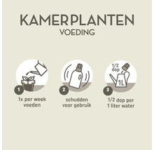Gebruiksaanwijzing voor kamerplantenvoeding: eenmaal per week voeden, schudden voor gebruik, een halve dop op een liter water.